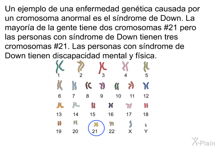 Un ejemplo de una enfermedad gentica causada por un cromosoma anormal es el sndrome de Down. La mayora de la gente tiene dos cromosomas #21 pero las personas con sndrome de Down tienen tres cromosomas #21. Las personas con sndrome de Down tienen discapacidad mental y fsica.
