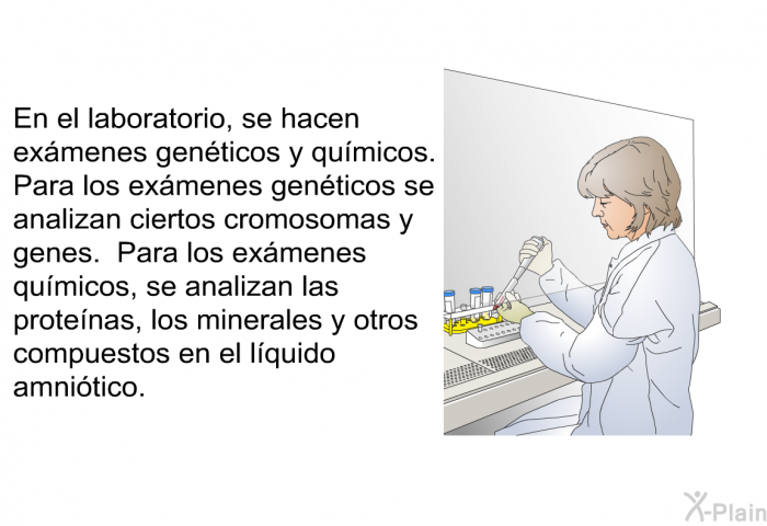 En el laboratorio, se hacen ex�menes gen�ticos y qu�micos. Para los ex�menes gen�ticos se analizan ciertos cromosomas y genes. Para los ex�menes qu�micos, se analizan las prote�nas, los minerales y otros compuestos en el l�quido amni�tico.