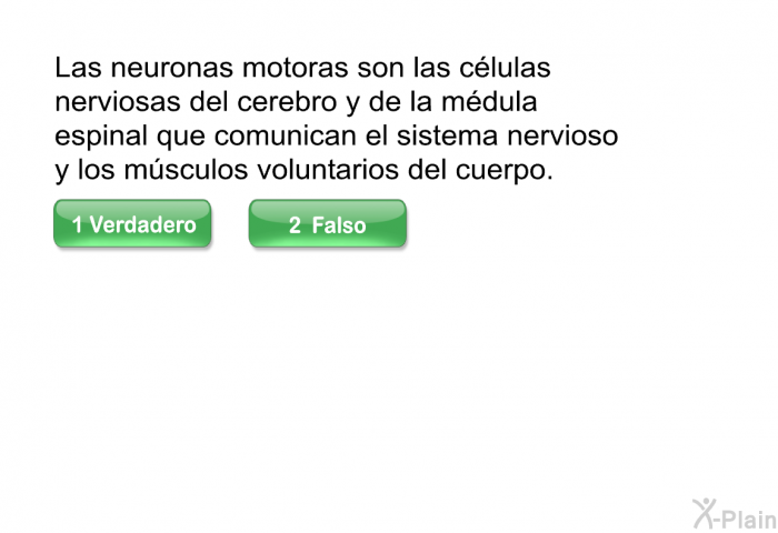 Las neuronas motoras son las clulas nerviosas del cerebro y de la mdula espinal que comunican el sistema nervioso y los msculos voluntarios del cuerpo.