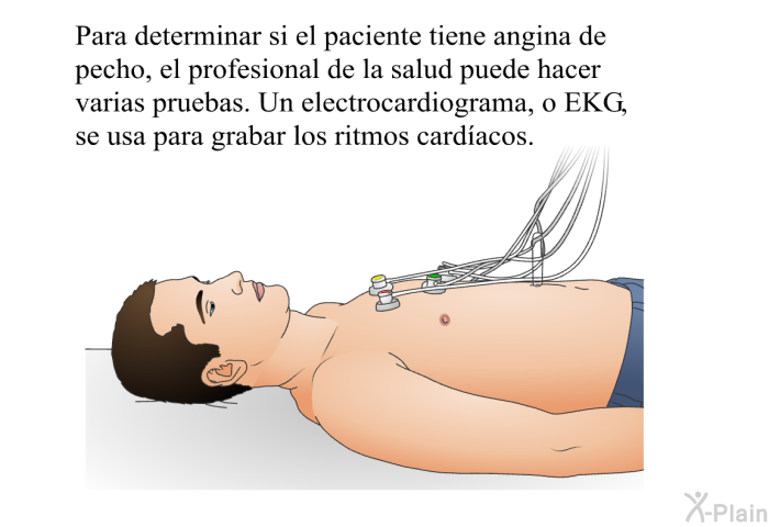 Para determinar si el paciente tiene angina de pecho, el profesional de la salud puede hacer varias pruebas. Un electrocardiograma, o EKG, se usa para grabar los ritmos cardacos.
