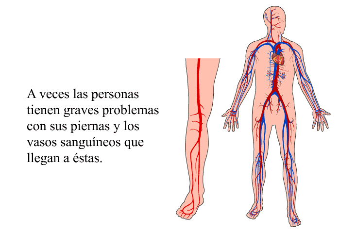 A veces las personas tienen graves problemas con sus piernas y los vasos sanguneos que llegan a stas.