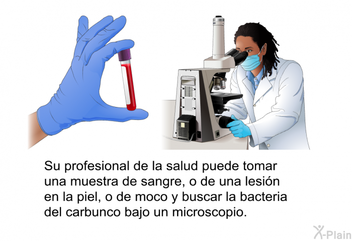 Su profesional de la salud puede tomar una muestra de sangre, o de una lesi�n en la piel, o de moco y buscar la bacteria del carbunco bajo un microscopio.