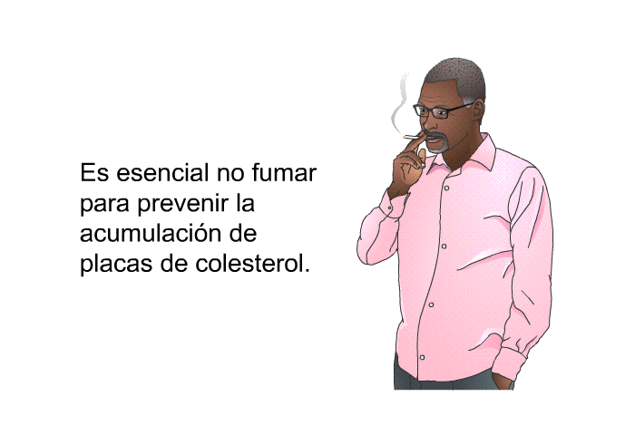 Es esencial no fumar para prevenir la acumulacin de placas de colesterol.