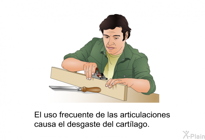 El uso frecuente de las articulaciones causa el desgaste del cart�lago.