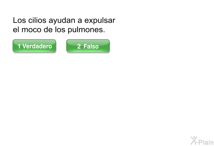 Los cilios ayudan a expulsar el moco de los pulmones.