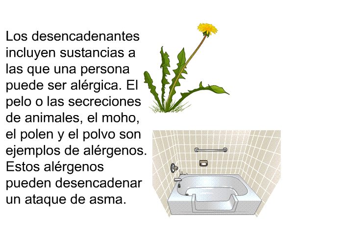 Los desencadenantes incluyen sustancias a las que una persona puede ser alrgica. El pelo o las secreciones de animales, el moho, el polen y el polvo son ejemplos de alrgenos. Estos alrgenos pueden desencadenar un ataque de asma.