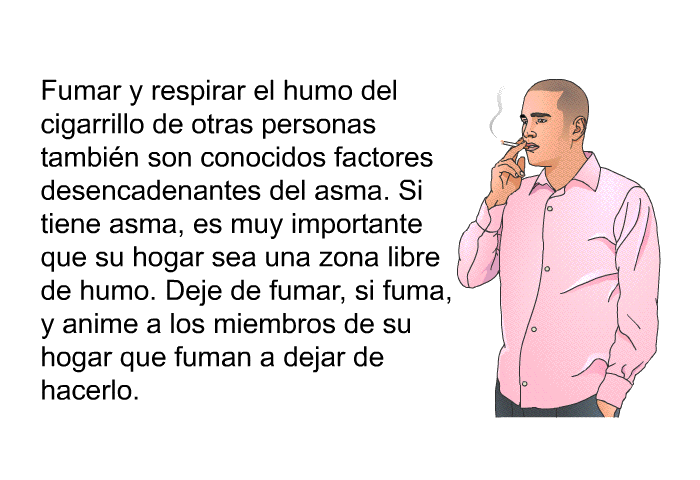 Fumar y respirar el humo del cigarrillo de otras personas tambin son conocidos factores desencadenantes del asma. Si tiene asma, es muy importante que su hogar sea una zona libre de humo. Deje de fumar, si fuma, y anime a los miembros de su hogar que fuman a dejar de hacerlo.