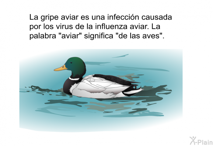 La gripe aviar es una infeccin causada por los virus de la influenza aviar. La palabra “aviar” significa “de las aves”.