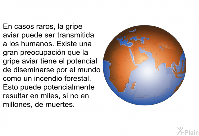 En casos raros, la gripe aviar puede ser transmitida a los humanos. Existe una gran preocupacin que la gripe aviar tiene el potencial de diseminarse por el mundo como un incendio forestal. Esto puede potencialmente resultar en miles, si no en millones, de muertes.