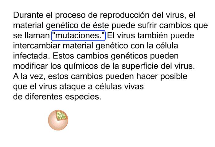 Durante el proceso de reproduccin del virus, el material gentico de ste puede sufrir cambios que se llaman “mutaciones”. El virus tambin puede intercambiar material gentico con la clula infectada. Estos cambios genticos pueden modificar los qumicos de la superficie del virus. A la vez, estos cambios pueden hacer posible que el virus ataque a clulas vivas de diferentes especies.