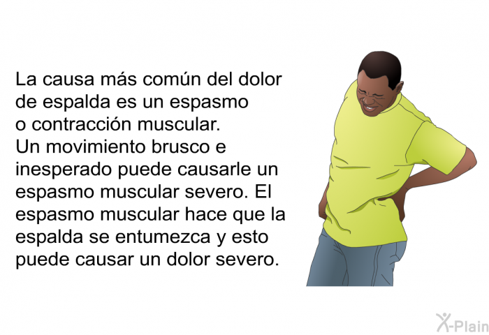 La causa ms comn del dolor de espalda es un espasmo o contraccin muscular. Un movimiento brusco e inesperado puede causarle un espasmo muscular severo. El espasmo muscular hace que la espalda se entumezca y esto puede causar un dolor severo.