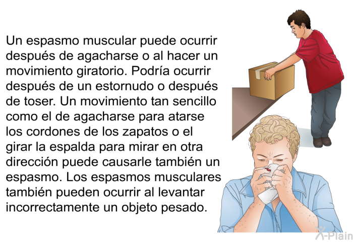 Un espasmo muscular puede ocurrir despus de agacharse o al hacer un movimiento giratorio. Podra ocurrir despus de un estornudo o despus de toser. Un movimiento tan sencillo como el de agacharse para atarse los cordones de los zapatos o el girar la espalda para mirar en otra direccin puede causarle tambin un espasmo. Los espasmos musculares tambin pueden ocurrir al levantar incorrectamente un objeto pesado.