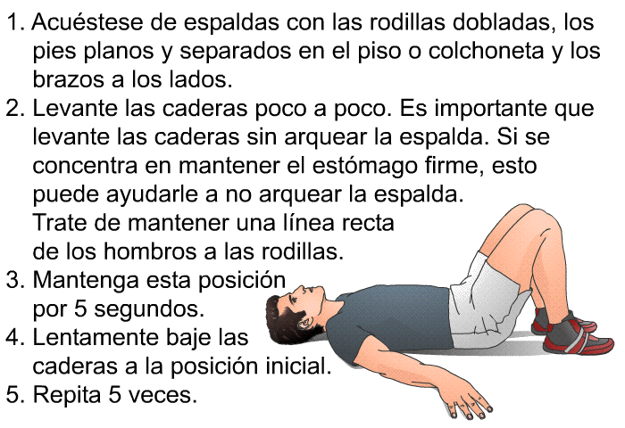 Acustese de espaldas con las rodillas dobladas, los pies planos y separados en el piso o colchoneta y los brazos a los lados. Levante las caderas poco a poco. Es importante que levante las caderas sin arquear la espalda. Si se concentra en mantener el estmago firme, esto puede ayudarle a no arquear la espalda. Trate de mantener una lnea recta de los hombros a las rodillas. Mantenga esta posicin por 5 segundos. Lentamente baje las caderas a la posicin inicial. Repita 5 veces.