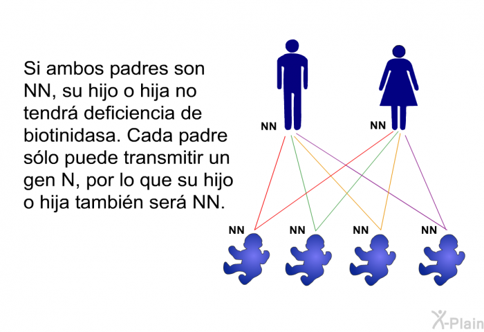 Si ambos padres son NN, su hijo o hija no tendr� deficiencia de biotinidasa. Cada padre s�lo puede transmitir un gen N, por lo que su hijo o hija tambi�n ser� NN.