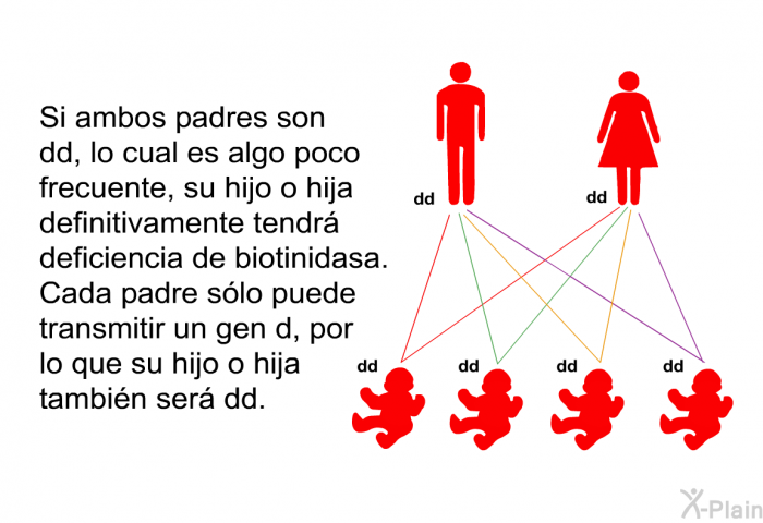 Si ambos padres son dd, lo cual es algo poco frecuente, su hijo o hija definitivamente tendr� deficiencia de biotinidasa. Cada padre s�lo puede transmitir un gen d, por lo que su hijo o hija tambi�n ser� dd.