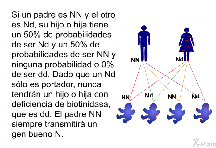 Si un padre es NN y el otro es Nd, su hijo o hija tiene un 50% de probabilidades de ser Nd y un 50% de probabilidades de ser NN y ninguna probabilidad o 0% de ser dd. Dado que un Nd s�lo es portador, nunca tendr�n un hijo o hija con deficiencia de biotinidasa, que es dd. El padre NN siempre transmitir� un gen bueno N.