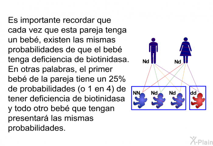 Es importante recordar que cada vez que esta pareja tenga un beb�, existen las mismas probabilidades de que el beb� tenga deficiencia de biotinidasa. En otras palabras, el primer beb� de la pareja tiene un 25% de probabilidades (o 1 en 4) de tener deficiencia de biotinidasa y todo otro beb� que tengan presentar� las mismas probabilidades.
