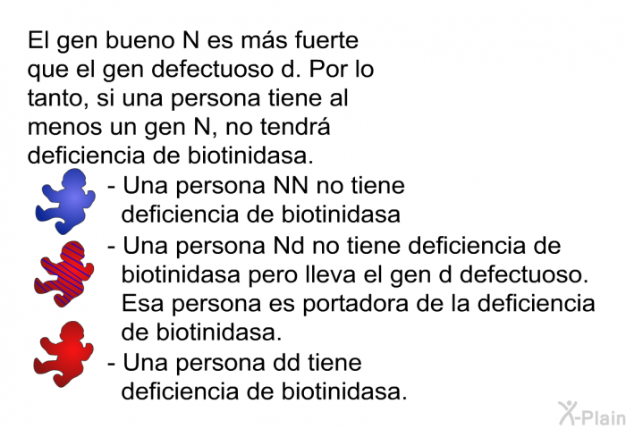 El gen bueno N es m�s fuerte que el gen defectuoso d. Por lo tanto, si una persona tiene al menos un gen N, no tendr� deficiencia de biotinidasa. Una persona NN no tiene deficiencia de biotinidasa . Una persona Nd no tiene deficiencia de biotinidasa pero lleva el gen d defectuoso. Esa persona es portadora de la deficiencia de biotinidasa. Una persona dd tiene deficiencia de biotinidasa.