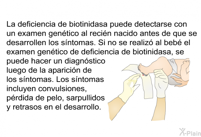 La deficiencia de biotinidasa puede detectarse con un examen gentico al recin nacido antes de que se desarrollen los sntomas. Si no se realiz al beb el examen gentico de deficiencia de biotinidasa, se puede hacer un diagnstico luego de la aparicin de los sntomas. Los sntomas incluyen convulsiones, prdida de pelo, sarpullidos y retrasos en el desarrollo.