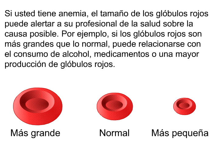 Si usted tiene anemia, el tama�o de los gl�bulos rojos puede alertar a su profesional de la salud sobre la causa posible. Por ejemplo, si los gl�bulos rojos son m�s grandes que lo normal, puede relacionarse con el consumo de alcohol, medicamentos o una mayor producci�n de gl�bulos rojos.