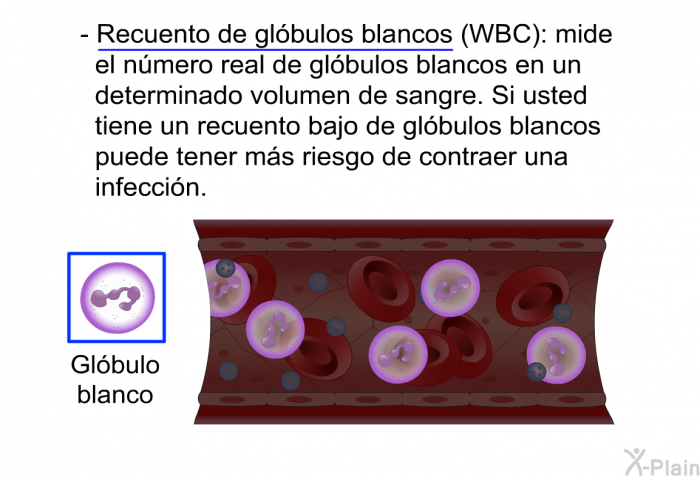 <B>Recuento de gl�bulos blancos (WBC):</B> mide el n�mero real de gl�bulos blancos en un determinado volumen de sangre. Si usted tiene un recuento bajo de gl�bulos blancos puede tener m�s riesgo de contraer una infecci�n.