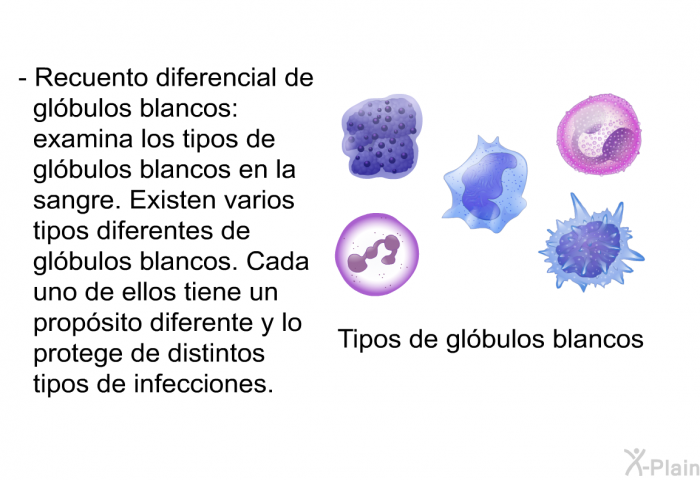 <B>Recuento diferencial de gl�bulos blancos:</B> examina los tipos de gl�bulos blancos en la sangre. Existen varios tipos diferentes de gl�bulos blancos. Cada uno de ellos tiene un prop�sito diferente y lo protege de distintos tipos de infecciones.