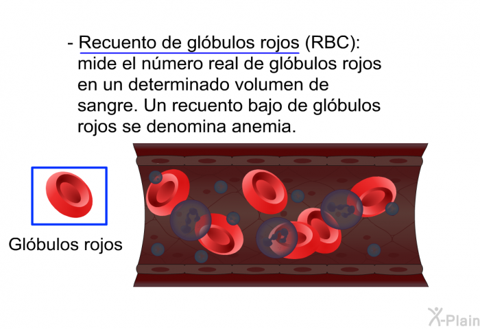 <B>Recuento de gl�bulos rojos (RBC):</B> mide el n�mero real de gl�bulos rojos en un determinado volumen de sangre. Un recuento bajo de gl�bulos rojos se denomina anemia.