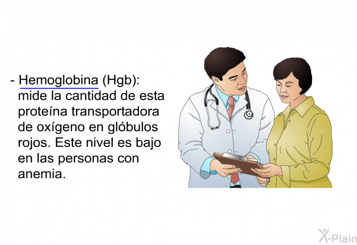 <B>Hemoglobina (Hgb):</B> mide la cantidad de esta prote�na transportadora de ox�geno en gl�bulos rojos. Este nivel es bajo en las personas con anemia.