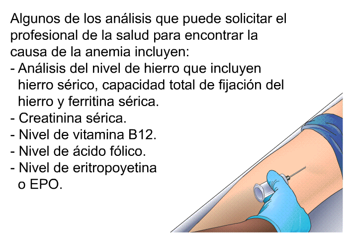 Algunos de los anlisis que puede solicitar el profesional de la salud para encontrar la causa de la anemia incluyen:  Anlisis del nivel de hierro que incluyen hierro srico, capacidad total de fijacin del hierro y ferritina srica. Creatinina srica. Nivel de vitamina B12. Nivel de cido flico. Nivel de<B> eritropoyetina </B>o EPO.