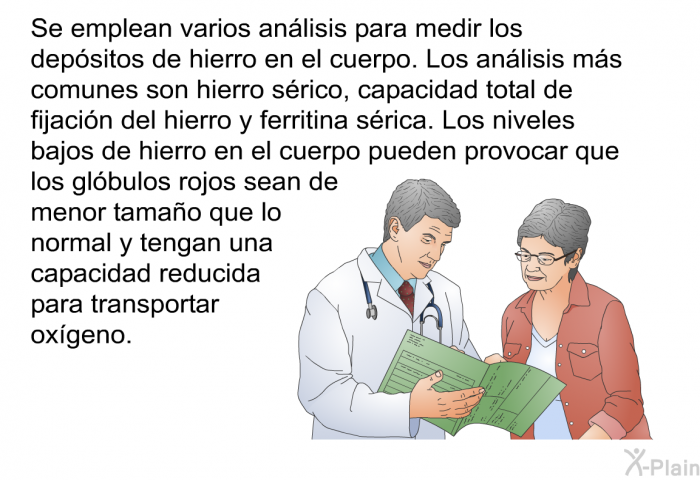 Se emplean varios anlisis para medir los depsitos de hierro en el cuerpo. Los anlisis ms comunes son hierro srico, capacidad total de fijacin del hierro y ferritina srica. Los niveles bajos de hierro en el cuerpo pueden provocar que los glbulos rojos sean de menor tamao que lo normal y tengan una capacidad reducida para transportar oxgeno.