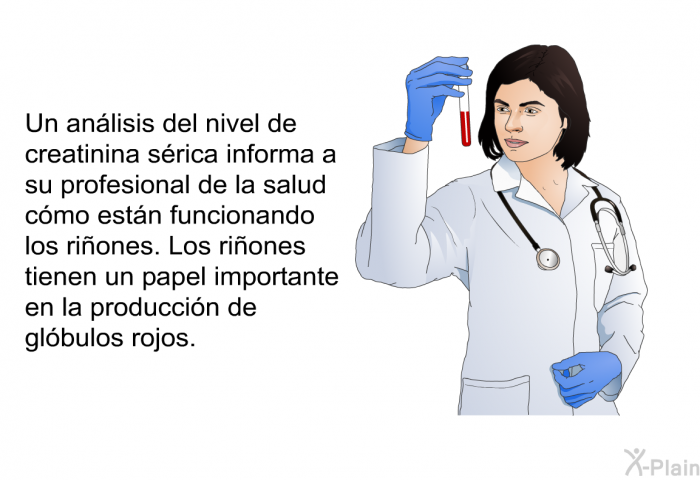 Un anlisis del nivel de creatinina srica informa a su profesional de la salud cmo estn funcionando los riones. Los riones tienen un papel importante en la produccin de glbulos rojos.