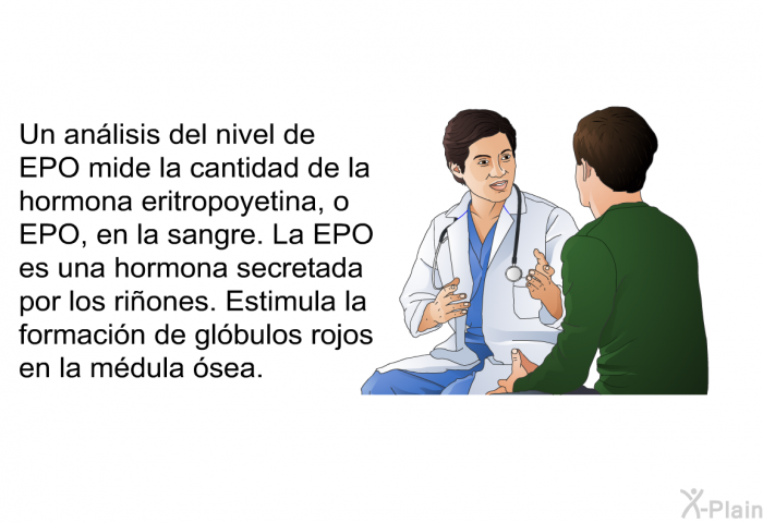 <B>Un anlisis del nivel de EPO mide </B>la cantidad de la hormona eritropoyetina, o EPO, en la sangre. La EPO es una hormona secretada por los riones. Estimula la formacin de glbulos rojos en la mdula sea.