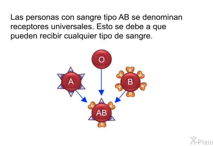 Las personas con sangre tipo AB se denominan receptores universales. Esto se debe a que pueden recibir cualquier tipo de sangre.
