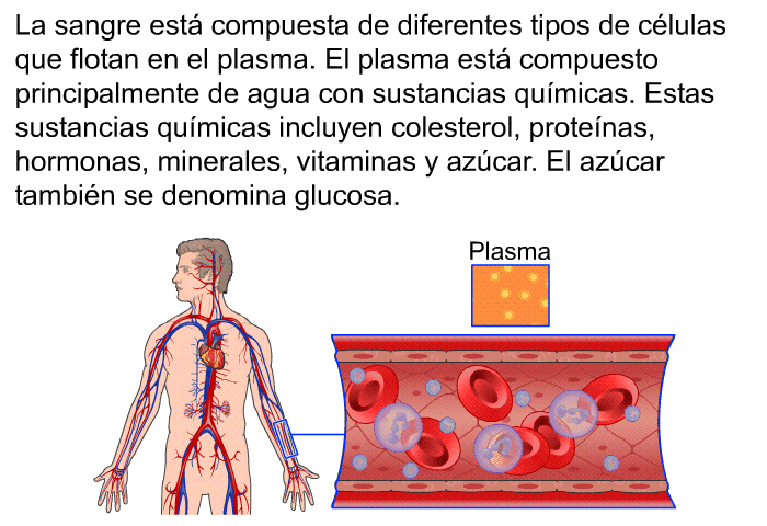 La sangre est compuesta de diferentes tipos de clulas que flotan en el plasma. El plasma est compuesto principalmente de agua con sustancias qumicas. Estas sustancias qumicas incluyen colesterol, protenas, hormonas, minerales, vitaminas y azcar. El azcar tambin se denomina glucosa.