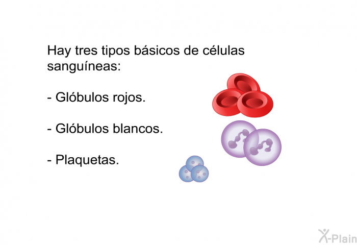 Hay tres tipos bsicos de clulas sanguneas:  Glbulos rojos. Glbulos blancos. Plaquetas.