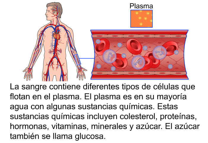 La sangre contiene diferentes tipos de clulas que flotan en el plasma. El plasma es en su mayora agua con algunas sustancias qumicas. Estas sustancias qumicas incluyen colesterol, protenas, hormonas, vitaminas, minerales y azcar. El azcar tambin se llama glucosa.