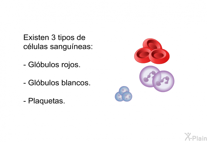 Existen 3 tipos de clulas sanguneas:  Glbulos rojos. Glbulos blancos. Plaquetas.