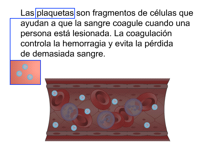 Las plaquetas son fragmentos de clulas que ayudan a que la sangre coagule cuando una persona est lesionada. La coagulacin controla la hemorragia y evita la prdida de demasiada sangre.