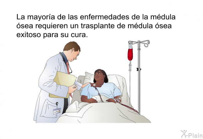 La mayora de las enfermedades de la mdula sea requieren un trasplante de mdula sea exitoso para su cura.