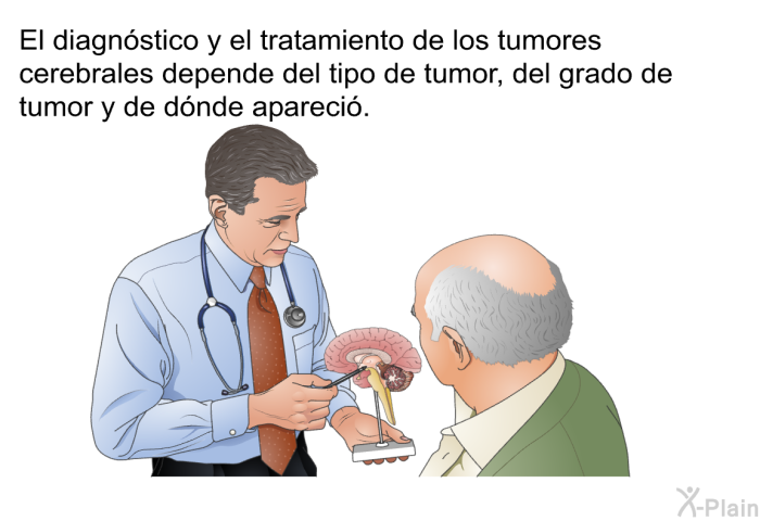 El diagnstico y el tratamiento de los tumores cerebrales depende del tipo de tumor, del grado de tumor y de dnde apareci.