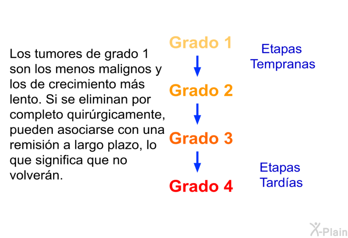 Los tumores de grado 1 son los menos malignos y los de crecimiento ms lento. Si se eliminan por completo quirrgicamente, pueden asociarse con una remisin a largo plazo, lo que significa que no volvern.
