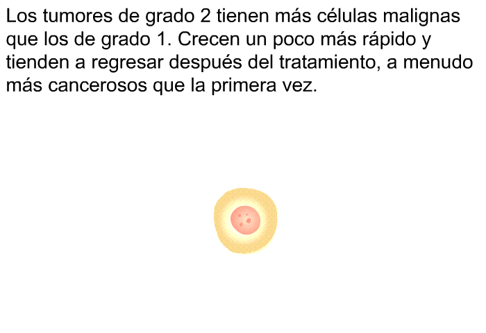 Los tumores de grado 2 tienen ms clulas malignas que los de grado 1. Crecen un poco ms rpido y tienden a regresar despus del tratamiento, a menudo ms cancerosos que la primera vez.