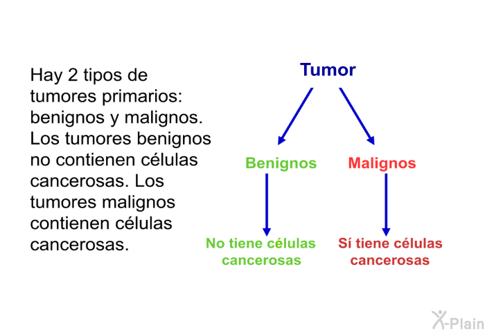 Hay 2 tipos de tumores primarios: benignos y malignos. Los tumores benignos no contienen clulas cancerosas. Los tumores malignos contienen clulas cancerosas.