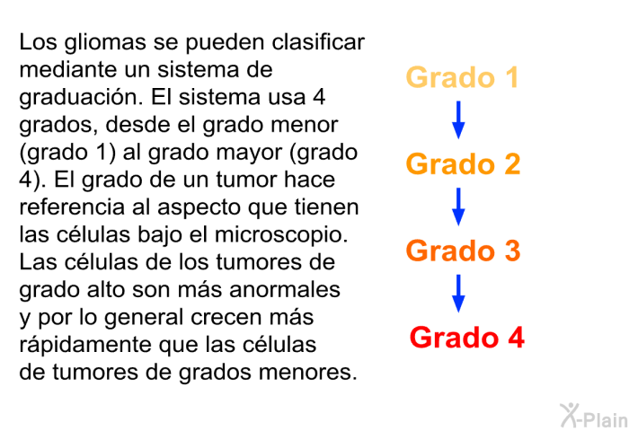 Los gliomas se pueden clasificar mediante un sistema de graduacin. El sistema usa 4 grados, desde el grado menor (grado 1) al grado mayor (grado 4). El grado de un tumor hace referencia al aspecto que tienen las clulas bajo el microscopio. Las clulas de los tumores de grado alto son ms anormales y por lo general crecen ms rpidamente que las clulas de tumores de grados menores.