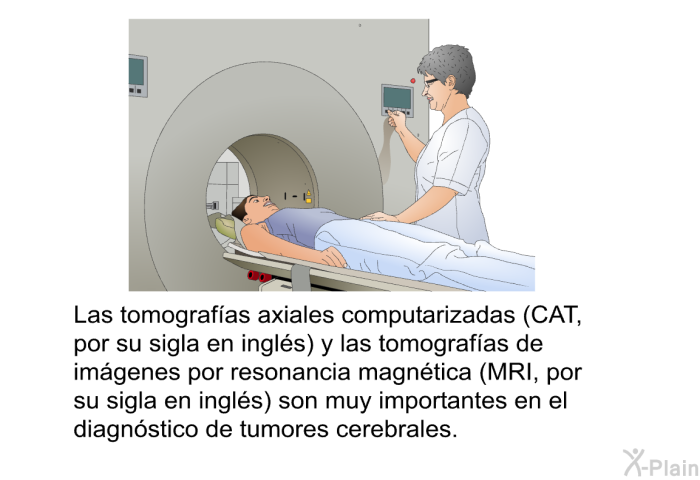 Las tomograf�as axiales computarizadas (CAT, por su sigla en ingl�s) y las tomograf�as de im�genes por resonancia magn�tica (MRI, por su sigla en ingl�s) son muy importantes en el diagn�stico de tumores cerebrales.