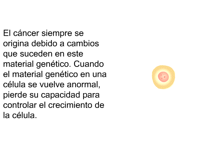 El cncer siempre se origina debido a cambios que suceden en este material gentico. Cuando el material gentico en una clula se vuelve anormal, pierde su capacidad para controlar el crecimiento de la clula.