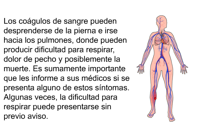 Los co�gulos de sangre pueden desprenderse de la pierna e irse hacia los pulmones, donde pueden producir dificultad para respirar, dolor de pecho y posiblemente la muerte. Es sumamente importante que les informe a sus m�dicos si se presenta alguno de estos s�ntomas. Algunas veces, la dificultad para respirar puede presentarse sin previo aviso.