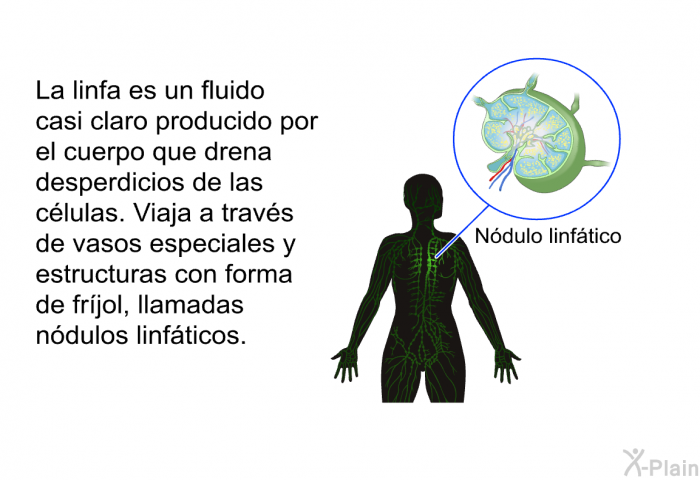 La linfa es un fluido casi claro producido por el cuerpo que drena desperdicios de las clulas. Viaja a travs de vasos especiales y estructuras con forma de frjol, llamadas ndulos linfticos.