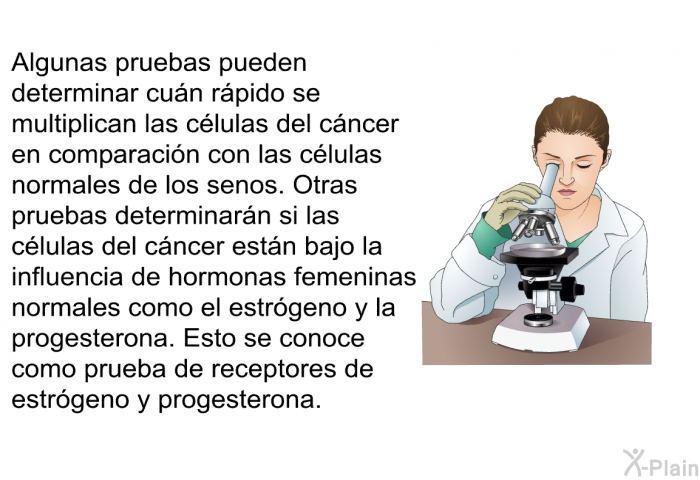 Algunas pruebas pueden determinar cun rpido se multiplican las clulas del cncer en comparacin con las clulas normales de los senos. Otras pruebas determinarn si las clulas del cncer estn bajo la influencia de hormonas femeninas normales como el estrgeno y la progesterona. Esto se conoce como prueba de receptores de estrgeno y progesterona.