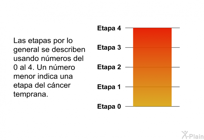 Las etapas por lo general se describen usando nmeros del 0 al 4. Un nmero menor indica una etapa del cncer temprana.